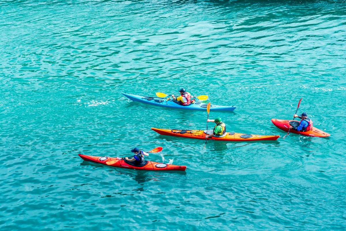 Rent a kayak in Punta Gorda